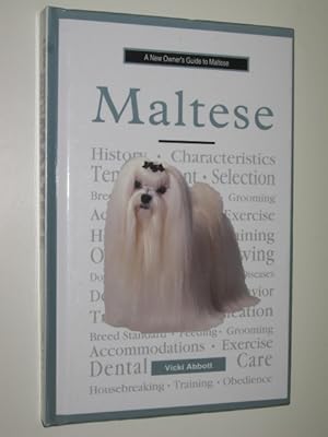 A New Owner's Guide To Maltese