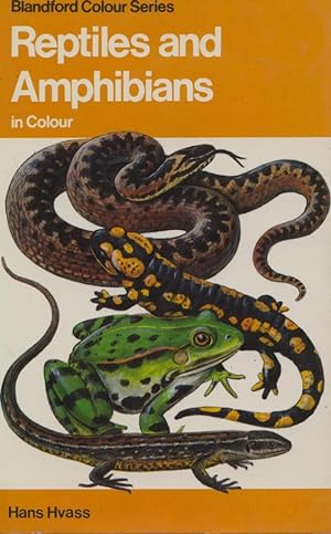 Imagen del vendedor de Reptiles and Amphibians in Colour a la venta por Frank's Duplicate Books