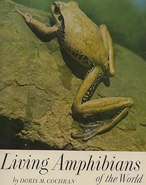 Imagen del vendedor de Living Amphibians of the World. a la venta por Frank's Duplicate Books