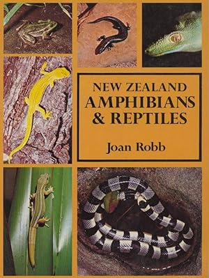 New Zealand Amphibians and Reptiles in Colour