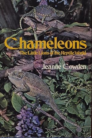 Chameleons - The Little Lions of the Reptile World.