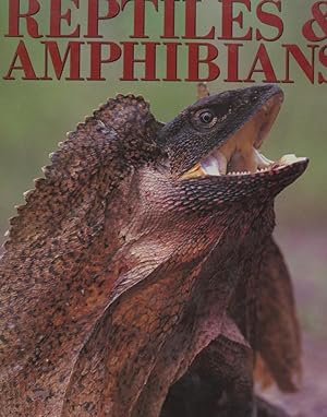 Immagine del venditore per Reptiles and Amphibians venduto da Frank's Duplicate Books