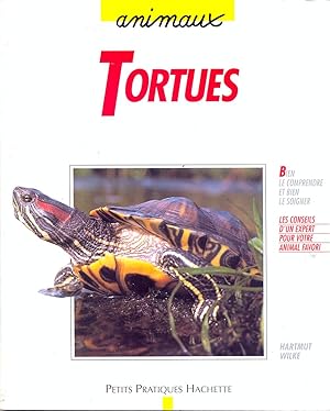 Tortues