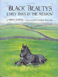 Seller image for Black Beauty's Early Days in the Meadow for sale by The Book Faerie