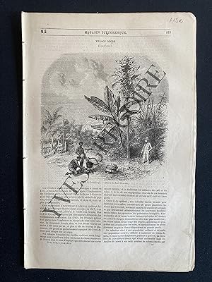 MAGASIN PITTORESQUE-JUIN 1851