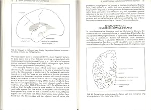 Seller image for The Cognitive Neuropsychology of Schizophrenia. [Essays in Cognitive Psychology][Nature of Schizophrenia; Brain Abnormalities; Behavioural Abnormalities; Positive Symptoms, Abnormal Experiences; Communication in Schizophrenia; etc] for sale by Joseph Valles - Books