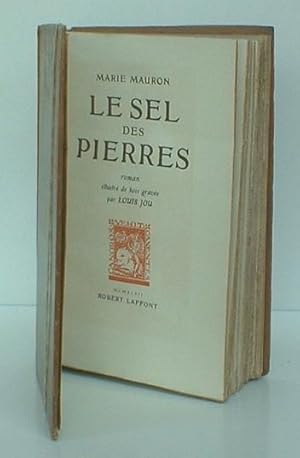 Le sel des pierres