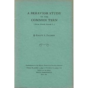 Imagen del vendedor de A Behavior Study of The Common Tern a la venta por Buteo Books