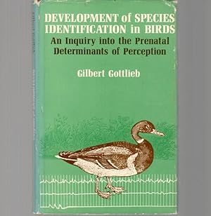 Seller image for Development of Species Identification in Birds. An Inquiry into the Prenatal Determinants of Perception for sale by Buteo Books