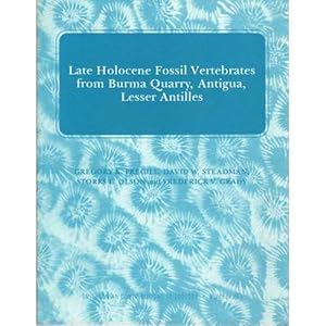 Imagen del vendedor de Late Holocene Fossil Vertebrates from Burma Quarry, Antigua, Lesser Antilles a la venta por Buteo Books