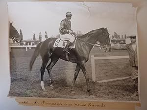 Fotografia "LA DOMINANTE Vince Premio Arconate"