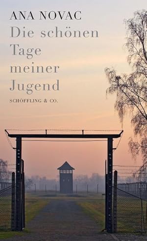 Seller image for Die schnen Tage meiner Jugend for sale by AHA-BUCH GmbH