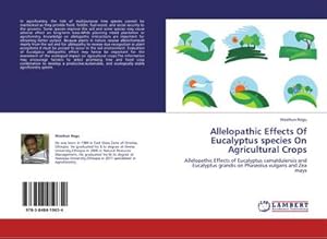 Seller image for Allelopathic Effects Of Eucalyptus species On Agricultural Crops : Allelopathic Effects of Eucalyptus camaldulensis and Eucalyptus grandis on Phaseolus vulgaris and Zea mays for sale by AHA-BUCH GmbH