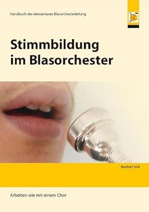 Bild des Verkufers fr Stimmbildung im Blasorchester : Arbeiten wie mit einem Chor. Hanbuch fr die elementare Blasorchesterleitung zum Verkauf von AHA-BUCH GmbH