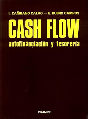 Cash Flow Autofinanciacion y Tesoreria