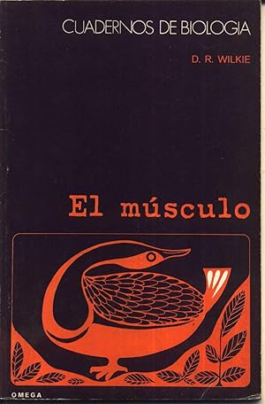 El Musculo