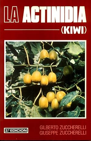 La Actinidia Kiwi