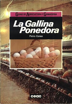 La Gallina Ponedora