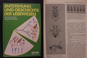 Bild des Verkufers fr Entstehung und Geschichte der Lebewesen - Daten und Deutungen fr den Biologieunterricht zum Verkauf von Buchantiquariat Uwe Sticht, Einzelunter.