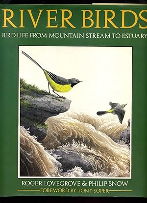 Seller image for River Birds: Bird Life from Mountain Stream to Estuary for sale by Roger Lucas Booksellers