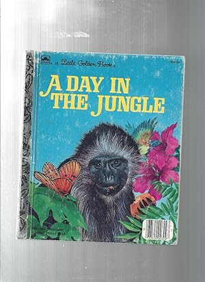 A DAY IN THE JUNGLE