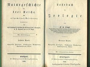 Lehrbuch der Zoologie. Spezielle Zoologie - Crustazeen, Arachniden, Hymenopteren, Käfer.