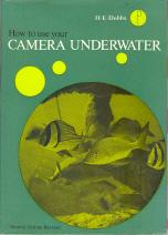 How To Use Your Camera Underwater: a Practical Guide to Underwater Photography