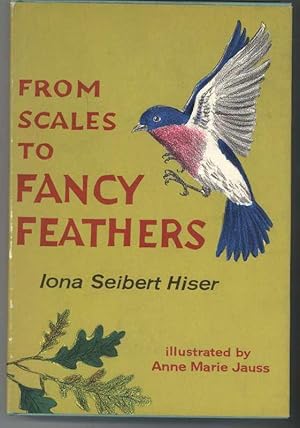 FROM SCALES TO FANCY FEATHERS