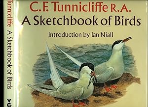 Imagen del vendedor de A Sketchbook of Birds a la venta por Little Stour Books PBFA Member