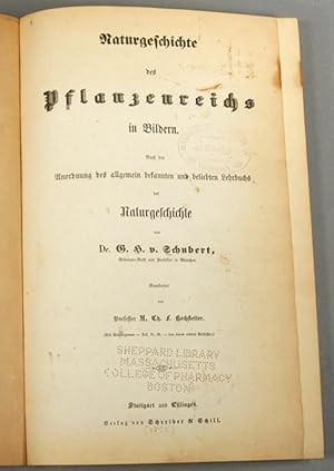 LETTER OF JUNIPERO SERRA TO THE REVEREND FATHER PREACHER FRAY FERMIN