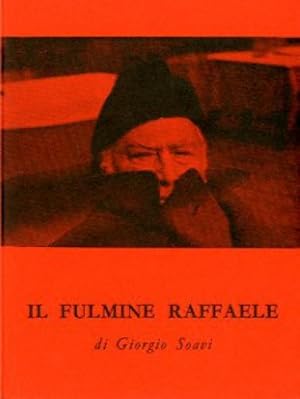 Immagine del venditore per Il fulmine Raffaele. venduto da LIBET - Libreria del Riacquisto