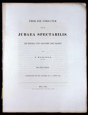Über die Struktur der Jubaea spectabilis. Ein Beitrag zur Anatomie der Palmen. Mit fünf Tafeln.