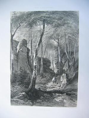 Bild des Verkufers fr La gorge du loup (Die Wolfsschlucht bei Baden-Baden", getnte Lithographie von L. Sabatier, gezeichnet von J. Coignet, aus der Serie:"Bade & ses environs", zum Verkauf von Antiquariat Im Baldreit