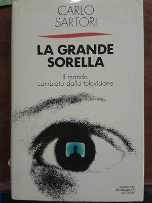 La grande sorella Il mondo cambiato della televisione