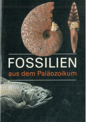 Fossilem aus dem Palaozoikum.