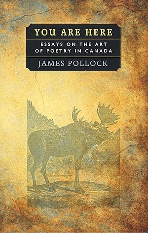 You Are Here: Essays on the Art of Poetry in Canada