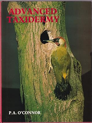 Imagen del vendedor de ADVANCED TAXIDERMY. By P.A. O'Connor. a la venta por Coch-y-Bonddu Books Ltd