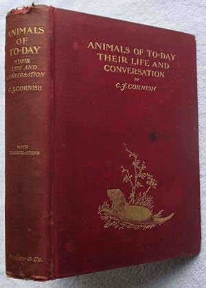 Animals of Today Their Life and Conversation