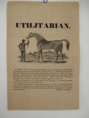 UTILITARIAN, / [large cut, 5 x 8 1/2 inches, of a beautiful stallion being held by a groom with t...