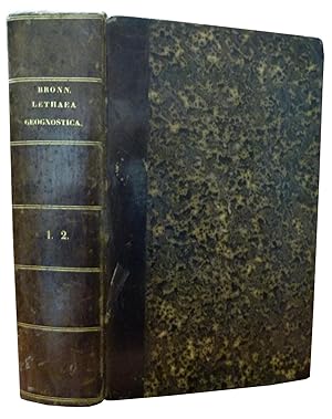 Bild des Verkufers fr LETHAEA GEOGNOSTICA, ODER ABBILDUNGEN UND BESCHREIBUNGEN DER FUR DIE GEBIRGS-FORMATIONEN BEZEICHNENDSTEN VERSTEINERUNGEN. (1-2 Bande). Avec : XLVII TAFELN MIT ABBILDUNGEN ZUR LETHAEA GEOGNOSTICA. zum Verkauf von Librairie de l'Univers