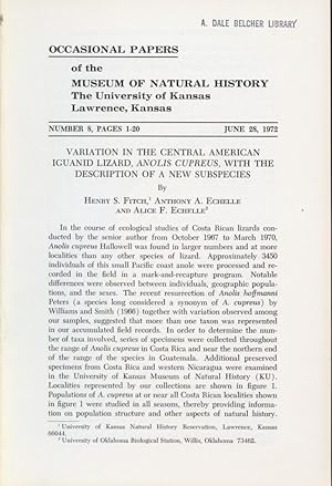 Image du vendeur pour Variation in the Central American Iguanid Lizard, Anolis Cupreus, with the Description of a New Subspecies mis en vente par Frank's Duplicate Books