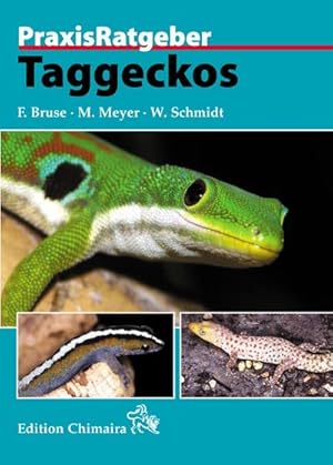 Seller image for Taggeckos for sale by AHA-BUCH GmbH
