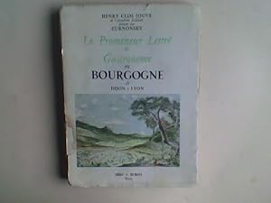 Le promeneur lettré et gastronome en Bourgogne de Dijon à Lyon