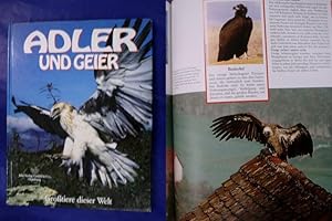 Image du vendeur pour Adler und Geier mis en vente par Buchantiquariat Uwe Sticht, Einzelunter.