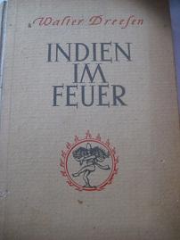 Image du vendeur pour Indien im Feuer Bericht einer Reise mis en vente par Alte Bcherwelt