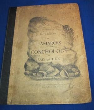 An Illustrated Introduction to Lamarck's Conchology; contained in his Histoire Naturelle Des Anim...