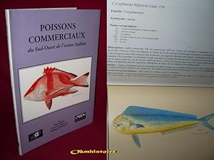 POISSONS COMMERCIAUX DU SUD-OUEST DE L' OCEAN INDIEN