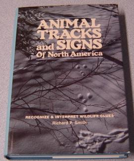 Animal Tracks And Signs Of North America: Recognize & Interpret Wildlife Clues