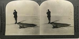 Bild des Verkufers fr Commander Adrien de Gerlache, on skies hunting seals on South Polar Pack zum Verkauf von Antipodean Books, Maps & Prints, ABAA