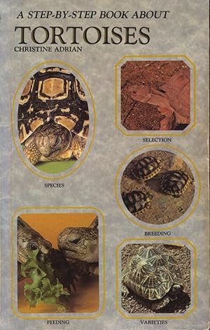 Seller image for A Step-By-Step Book About Tortoises for sale by Frank's Duplicate Books